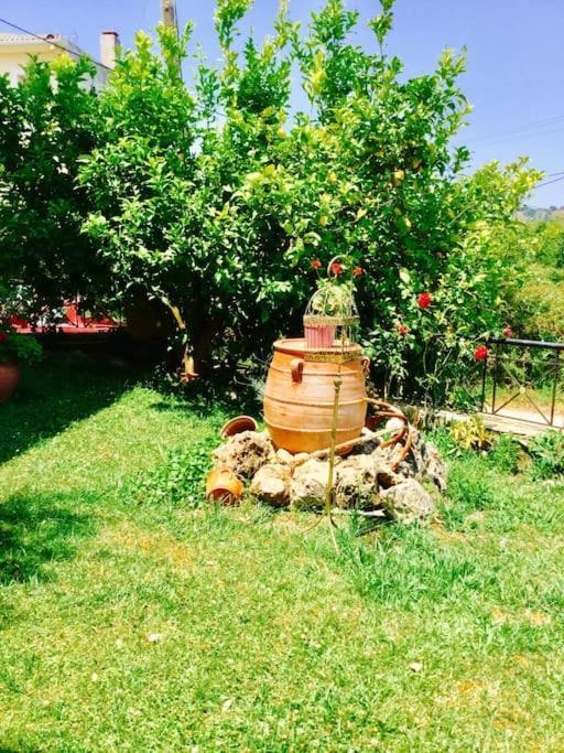 Διαμέρισμα Στην Περιοχή Εθνικής Αντίστασης Apartment Igoumenitsa Exterior photo